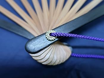 鉄扇 楽天市場】扇子 鉄扇 鉄扇8寸 尾形刀剣 TS-B 鉄の扇子 黒 袋付き